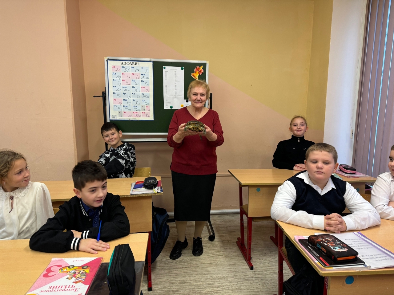 Урок Окружающего мира.